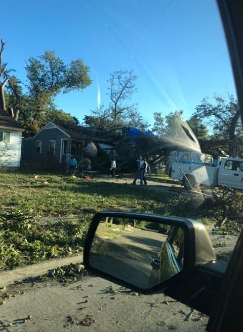 En Garland se reportan arboles caídos por la avenida G y la calle Ninth cerca del parque Central.
<br>