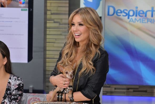 “Todo lo planeo. Todo me lo imagino. Lo tienes en el corazón y en la Biblia Dios dice: ‘Yo voy a escuchar cada deseo de tu corazón’. La gente tiene que desear, que no se pierda el deseo porque Dios nos escucha. Y no los da cuando estemos nosotros preparados y listos”- Thalía.