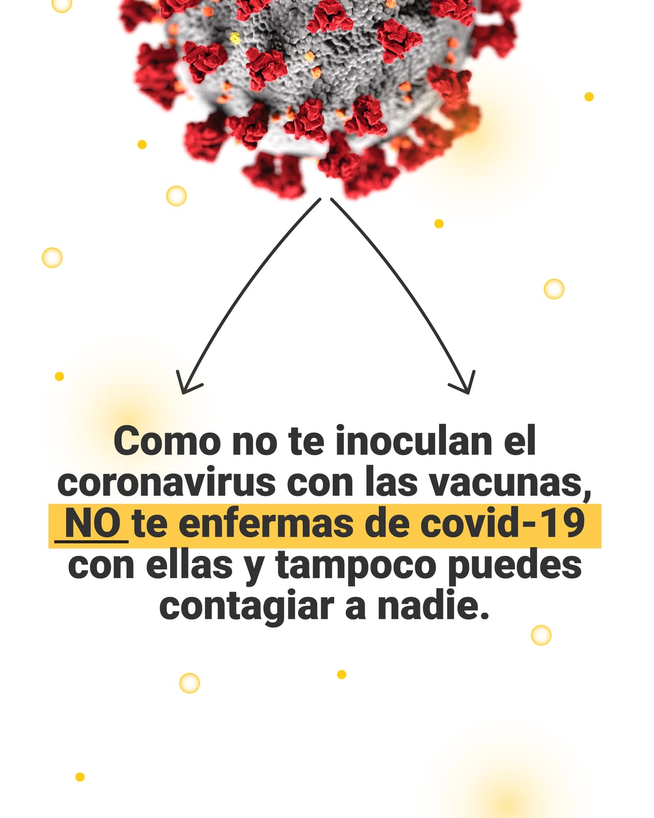 <a href="https://www.univision.com/noticias/inyeccion-vacuna-covid-19-anticuerpos" target="_blank">Aquí puedes ver la verificación completa en <b>El Detector.</b></a>
<b><a href="https://www.univision.com/noticias/inyeccion-vacuna-covid-19-anticuerpos" target="_blank"> </a></b>
<br>