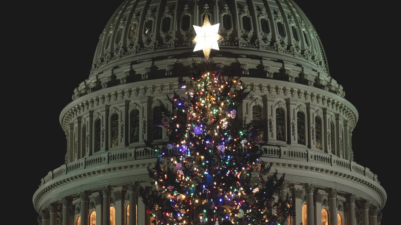 Cada año se instala un pino proveniente de un parque nacional diferente en el Capitolio. El de este año, llegó desde el Bosque Nacional Pisgah, en Carolina del Norte, y mide 78 pies de altura.