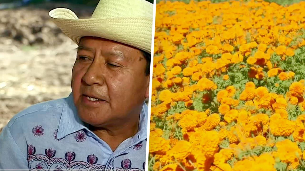 Zeferino García mantiene vivas las tradiciones de su natal Oaxaca en la ciudad de Los Ángeles