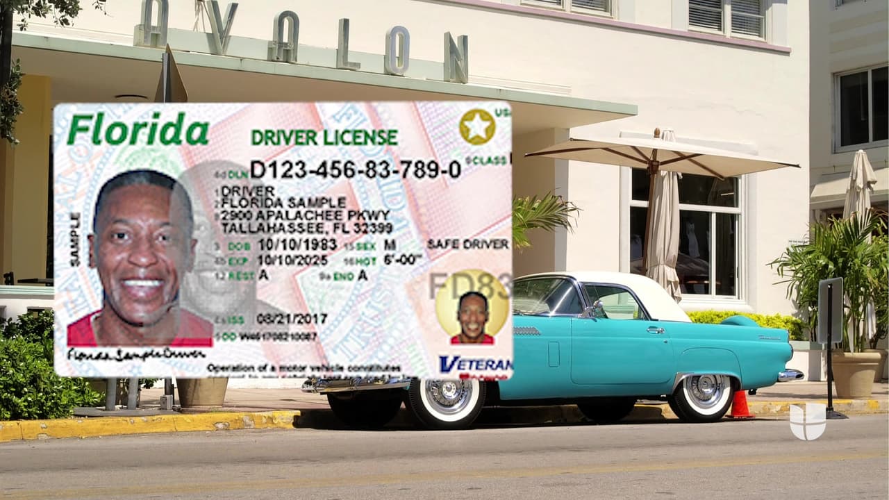 Florida será el primer estado con licencias de conducir digitales en Estados Unidos