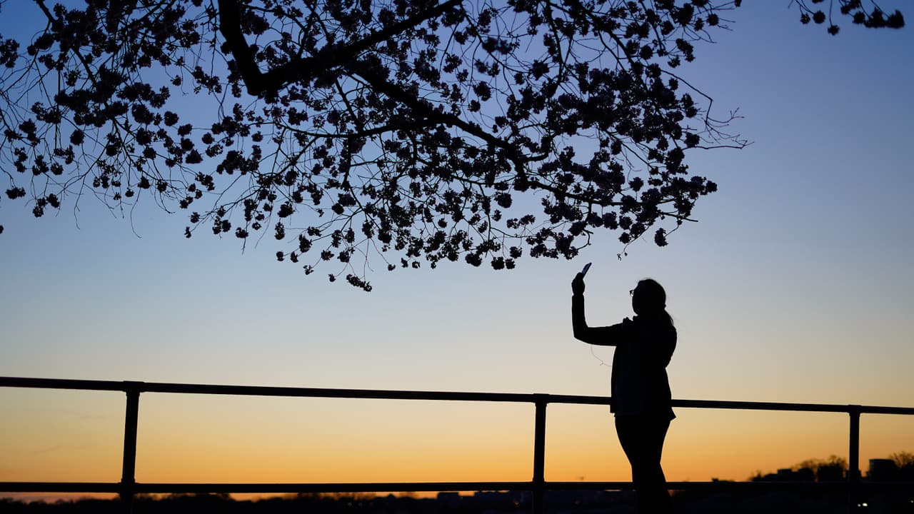 Se espera la visita de más de un millón de personas durante el festival.