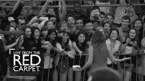 Se acercó a saludar a los fans... y tiraron la valla.