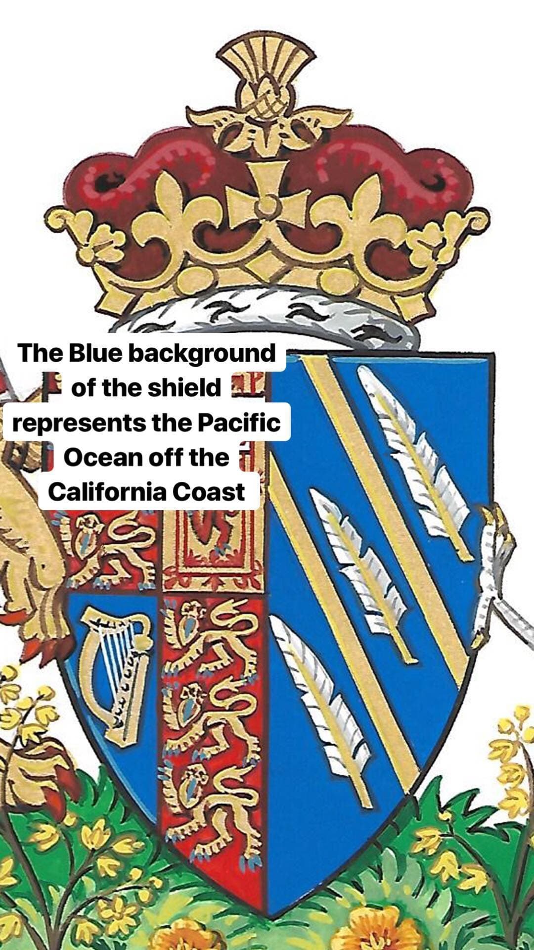 El fondo azul representa el océano Pacífico de la costa de California. El escudo incluye dos rayos dorados que simbolizan el sol de la ciudad natal de la duquesa de Sussex.
<br>