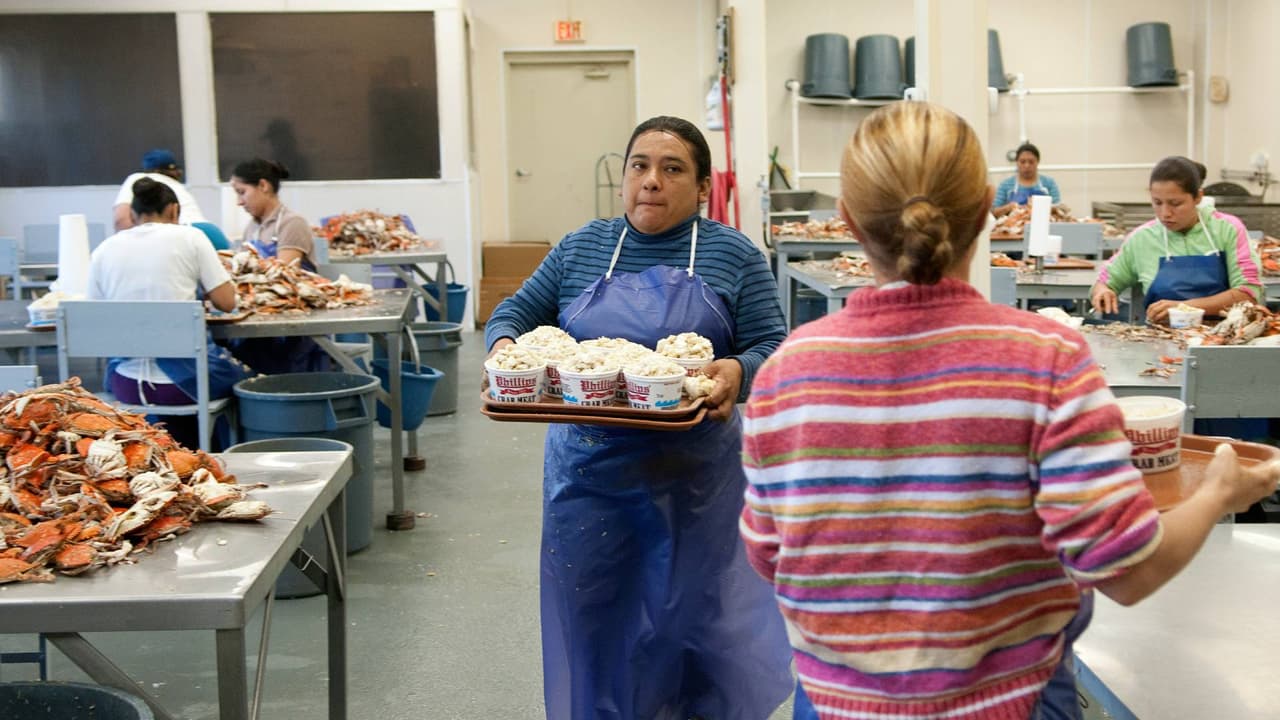 Trabajadores que denuncien delitos laborales podrían recibir beneficios migratorios: te contamos