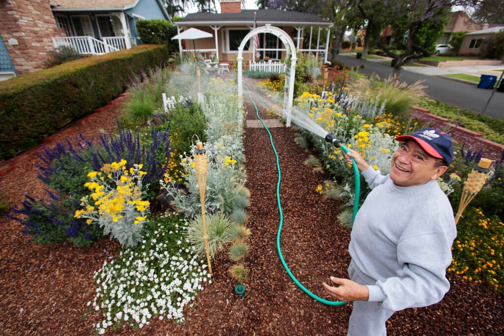 Siembra en tu jardín plantas y árboles tolerantes y resistentes a la sequía.