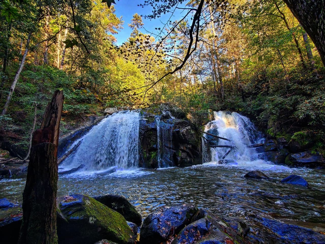 Mira cascadas en lugares como Fall Branch Falls o Long Creek Falls, que se pueden ver en una caminata de 30 minutos. El senderismo y el ciclismo de montaña también son actividades populares, especialmente la ruta de acceso Appalachian Trail a Springer Mountain. Y también puedes visitar Lake Blue Ridge.