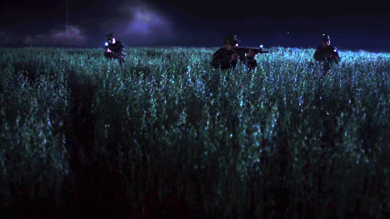 At the same time, the field workers escaped from the shots of the military.