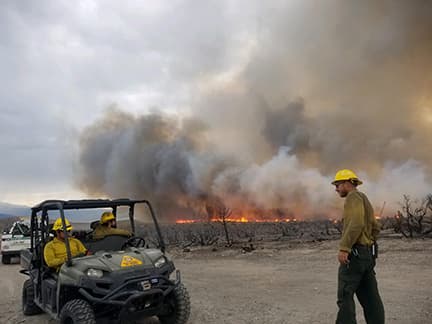 <a href="https://www.fs.usda.gov/detail/inyo/news-events/?cid=FSEPRD786158" target="_blank">Bosque Nacional Inyo</a>: Este bosque nacional fue azotado en agosto del 2020 por el incendio Beach que consumió 3,780 acres.