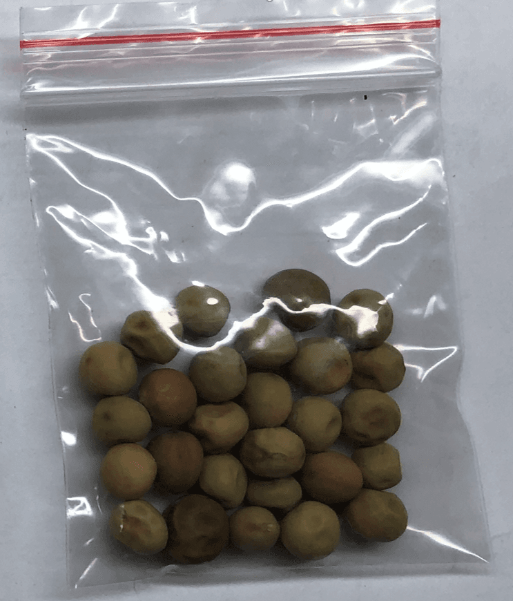 El 
<a href="https://www.univision.com/local/los-angeles-kmex/alertan-por-misteriosos-paquetes-con-semillas-enviados-desde-china-a-casas-en-california" target="_blank">Departamento de Alimentos y Agricultura de California</a> (CDFA, por sus siglas en inglés) está al tanto de dichos reportes y se encuentra en comunicación con las autoridades federales en la materia para determinar qué hacer con los futuros cargamentos que lleguen de China.