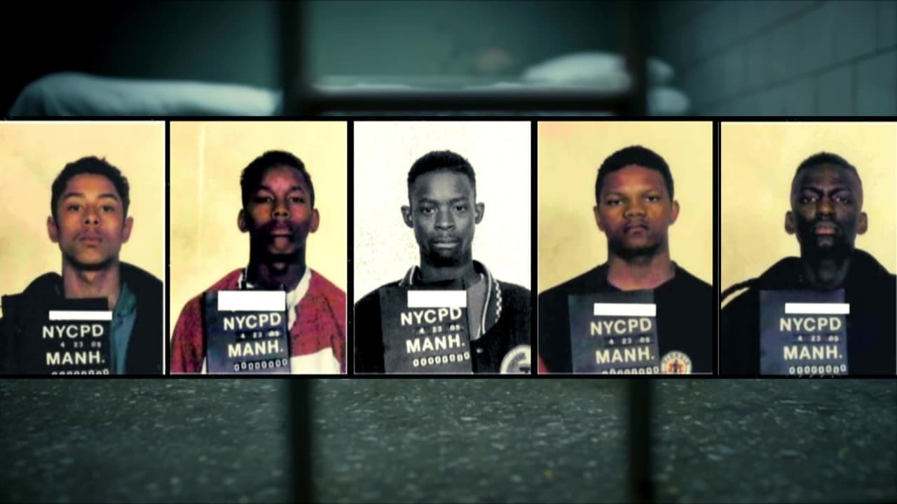 C.D.I. Código de Investigación Programa 16