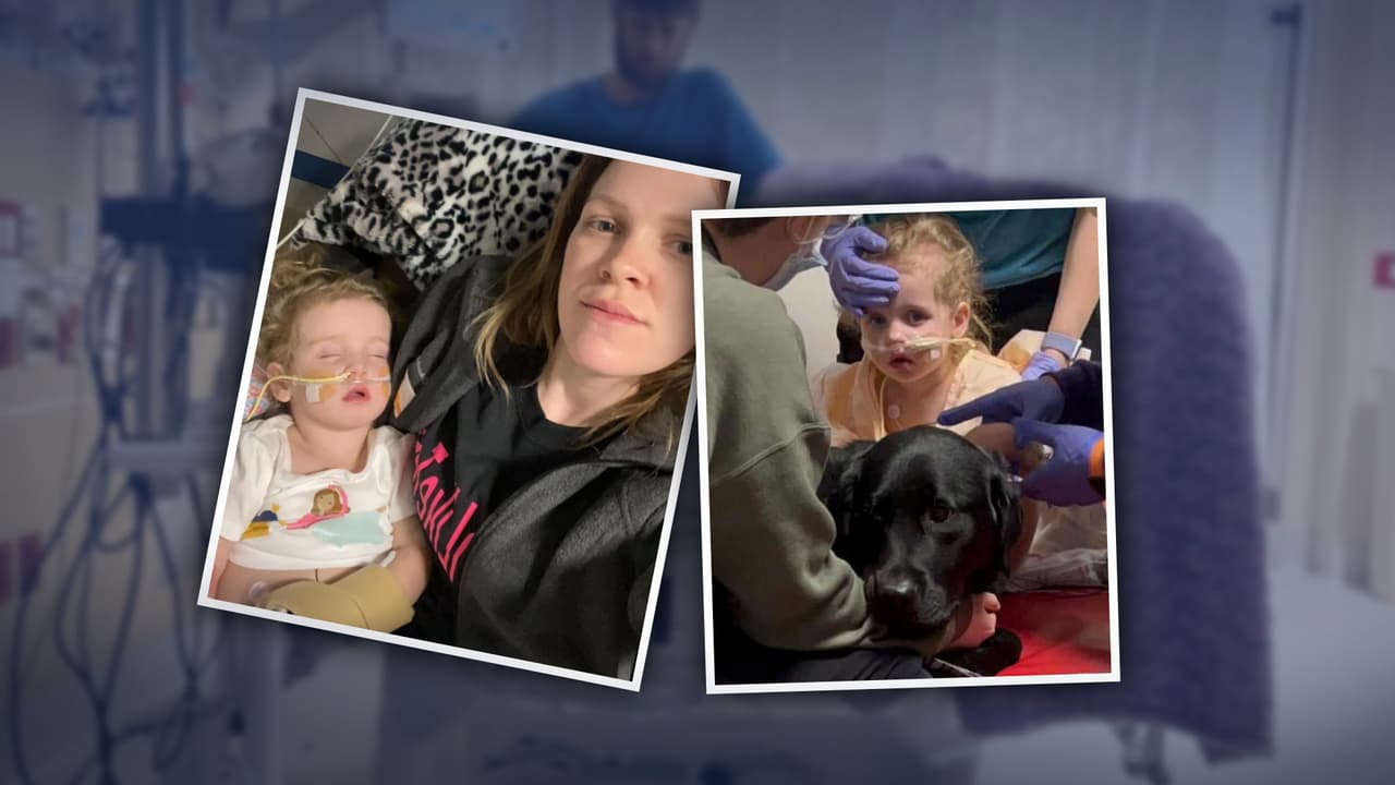 Milagro en Texas: se recupera la niña de 2 años que pasó 30 minutos bajo el agua 