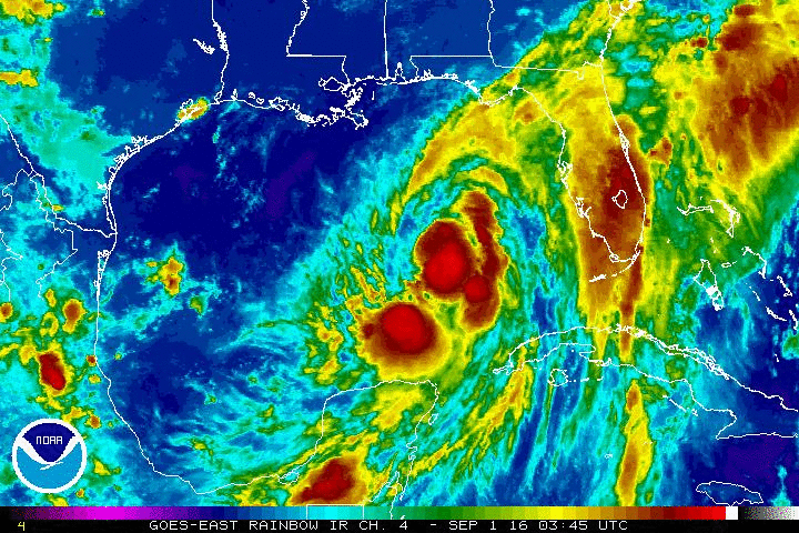 Hermine llegará como huracán a la costa noroeste de Florida