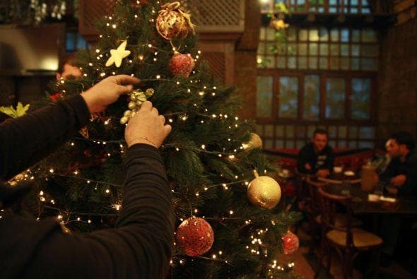 Es un signo muy emocional, un árbol de estilo retro de preferencia ya que les hace recordar momentos agradables.