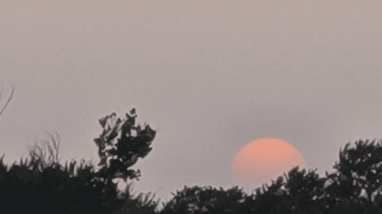 El sol pintó de rojo el cielo, un efecto que se acentúa con la presencia de las partículas del polvo que está sobre el área de Dallas-Fort Worth.
<br>
<br>📍 Garland, Texas