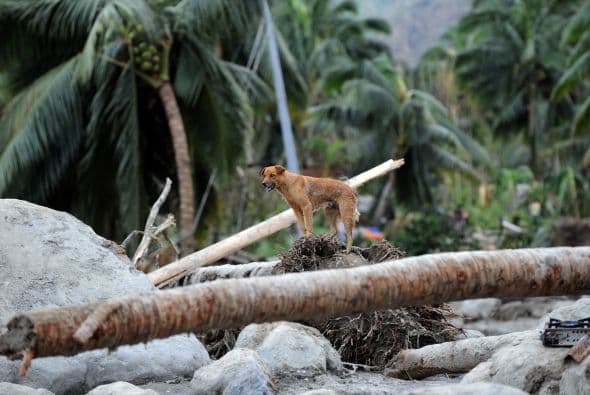 Muchas de las víctimas murieron enterradas por avalanchas de tierra, como sucedió en la localidad de Nuevo Bataan, en el Valle de Compostela, mientras otros perecieron ahogados o desaparecieron arrastrados por la riadas.