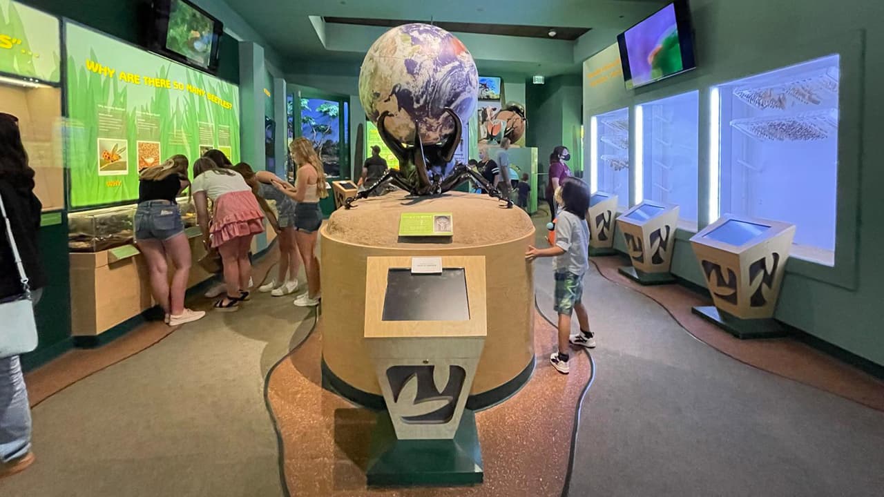 Consulta el contenido en internet para obtener información sobre cómo aprovechar al máximo tu visita.