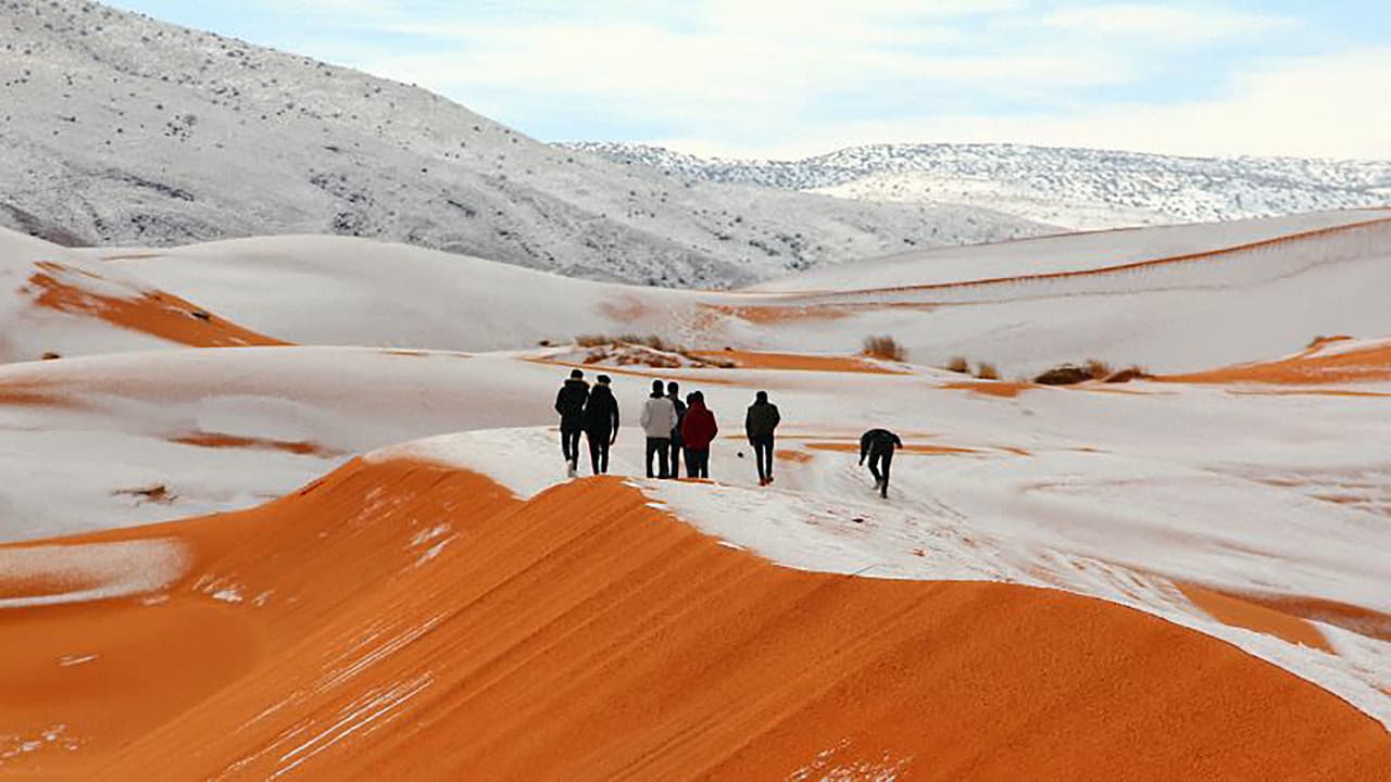 El servicio de medio ambiente de Argelia había emitido una inusual alerta por nieve para el fin de semana en la zona oeste del país. La previsión era hasta 5.9 pulgadas de nieve (unos 15 cm) y el domingo se hizo realidad.