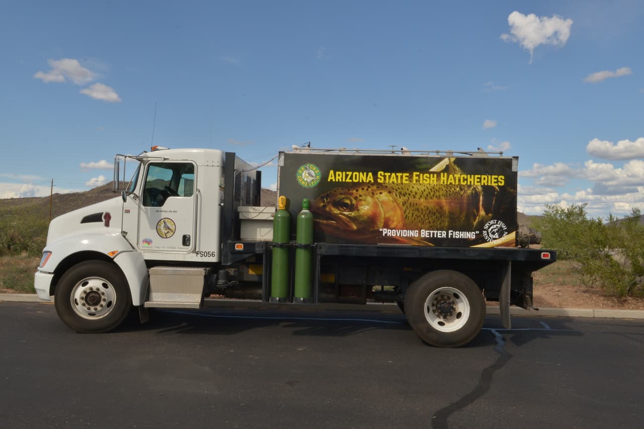 El criadero de truchas en Tonto Creek te da la oportunidad de alimentar a los pescados, aprender de la cultura de la trucha, visitar la planta de incubación y disfrutar de los hermosos alrededores.