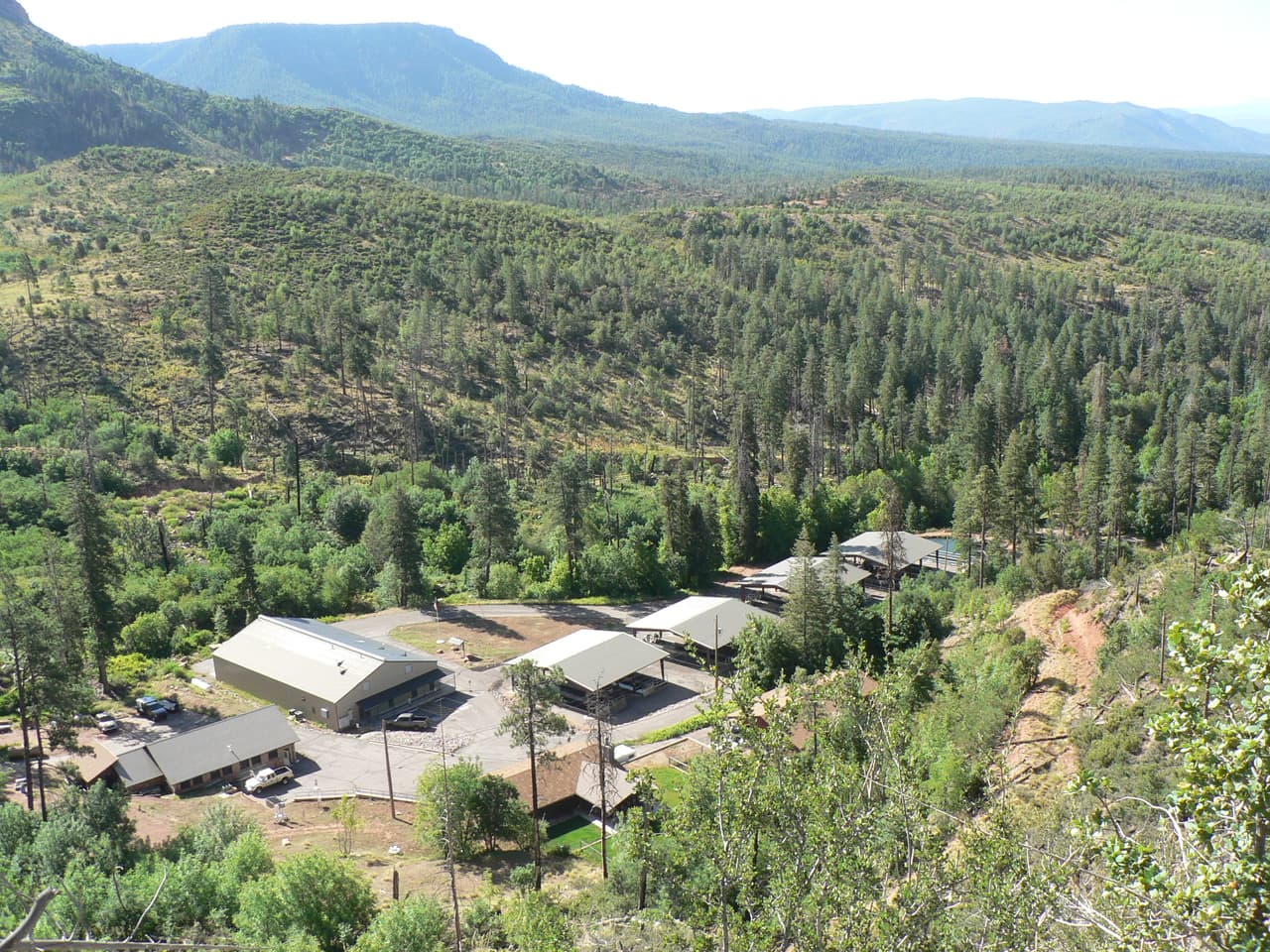 El criadero de truchas en Tonto Creek te da la oportunidad de alimentar a los pescados, aprender de la cultura de la trucha, visitar la planta de incubación y disfrutar de los hermosos alrededores.