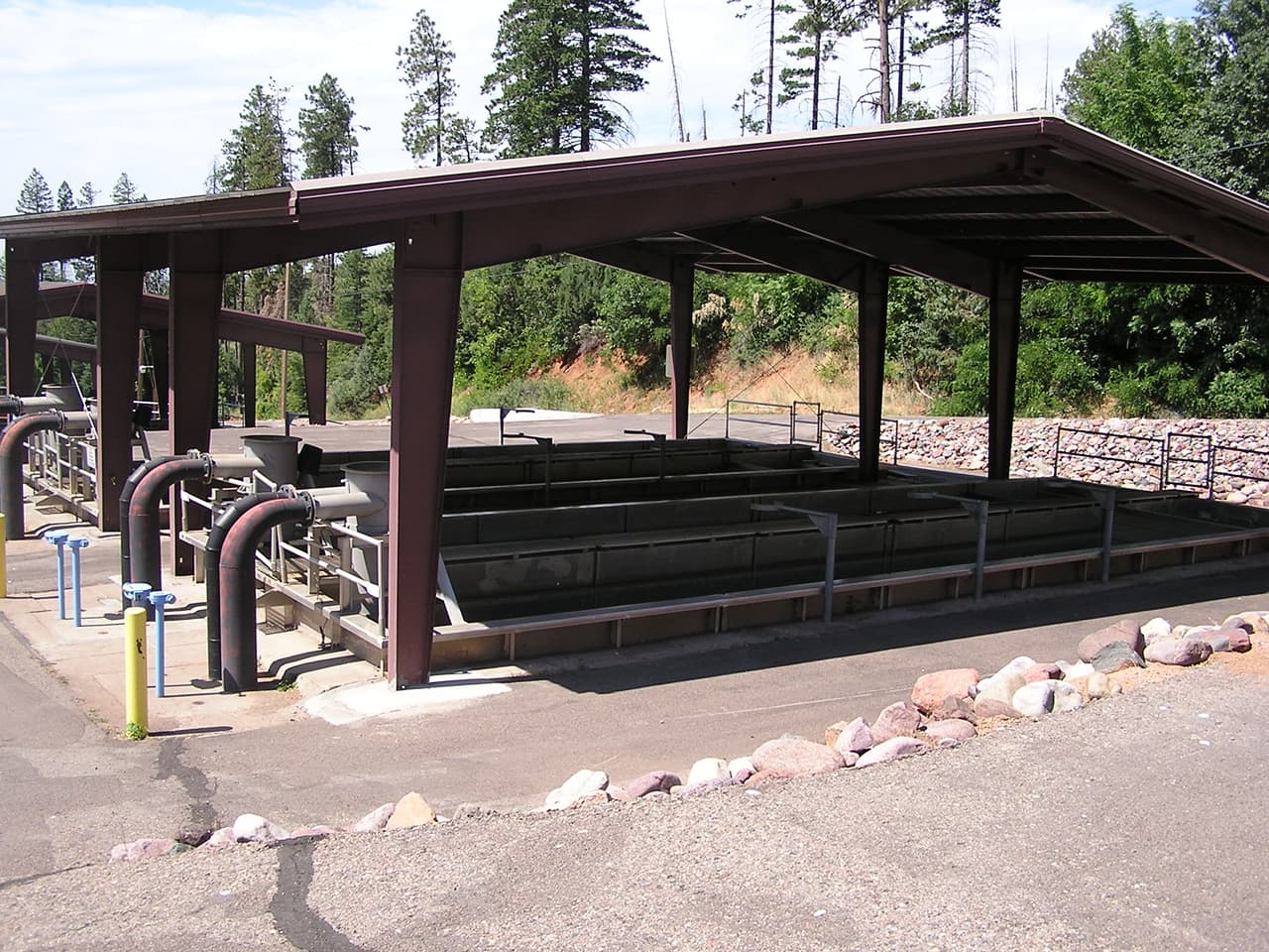 El criadero de truchas en Tonto Creek te da la oportunidad de alimentar a los pescados, aprender de la cultura de la trucha, visitar la planta de incubación y disfrutar de los hermosos alrededores.