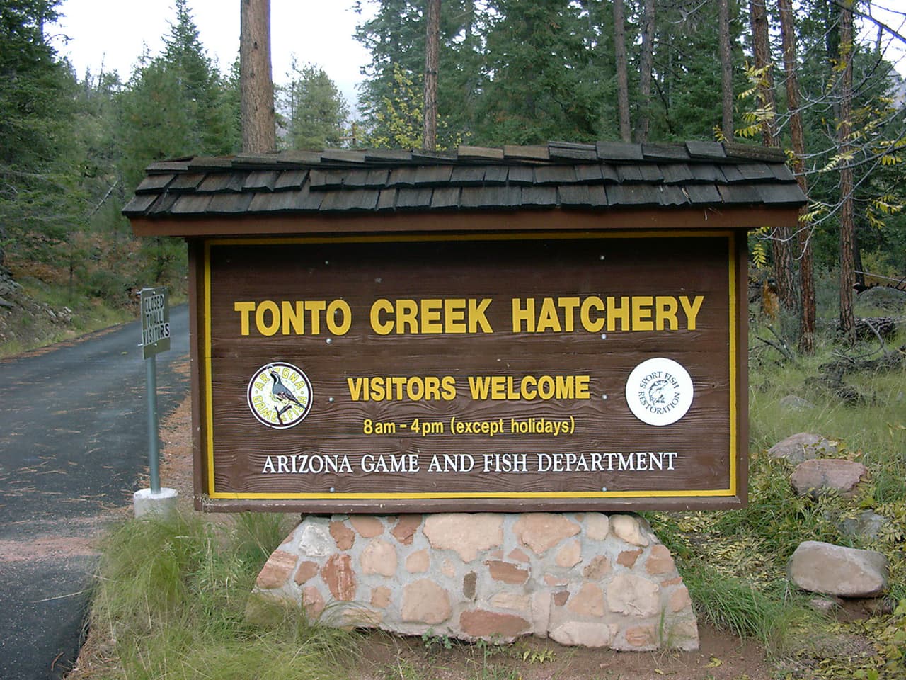 El criadero de truchas en Tonto Creek te da la oportunidad de alimentar a los pescados, aprender de la cultura de la trucha, visitar la planta de incubación y disfrutar de los hermosos alrededores.