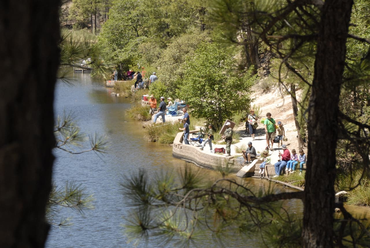 El criadero de truchas en Tonto Creek te da la oportunidad de alimentar a los pescados, aprender de la cultura de la trucha, visitar la planta de incubación y disfrutar de los hermosos alrededores.