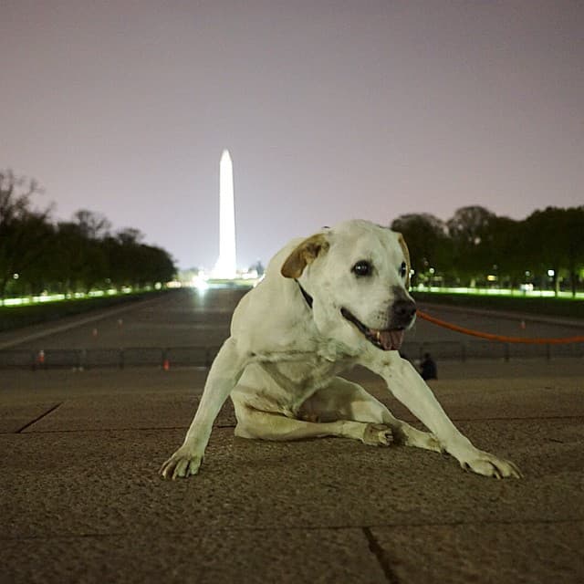 También le gusta rascarse en la noche.