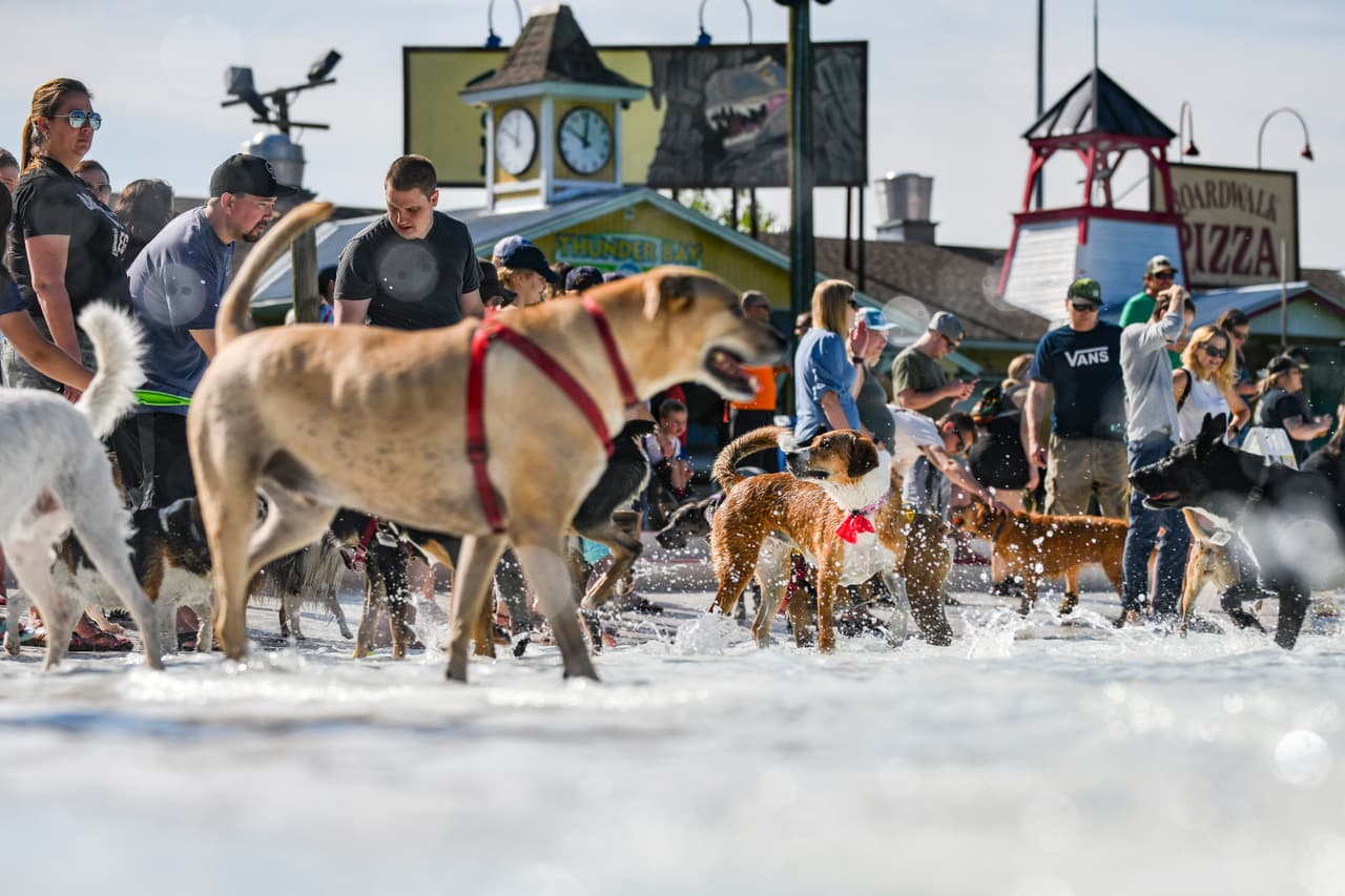 Con esta fiesta, el parque cerró sus puertas hasta el próximo año.