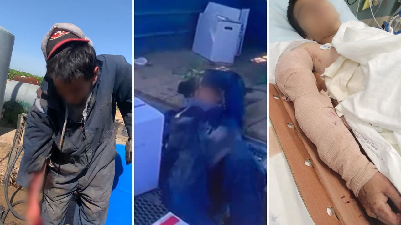 Dejan tirado, con el brazo triturado y sin atención médica a un trabajador agrícola en California