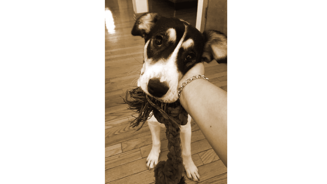 "Zaely la pequeña mas consentida y chiquiada d nuestro hogar, tiene un año 6 m. Ella es amor y lo da a cada ser que se cruza en su camino no soy su mamá pero ella si es mi hija".