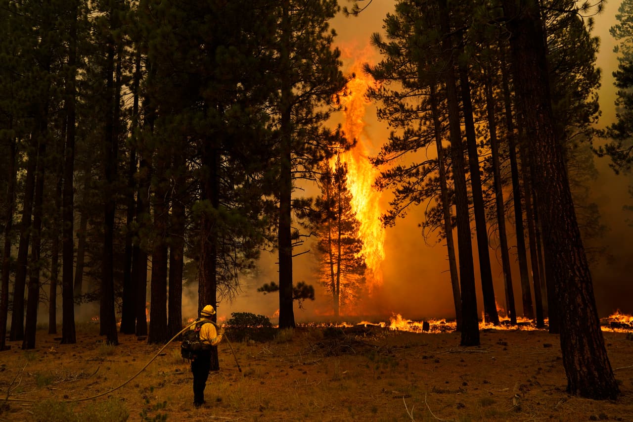 A estos recursos se le suman 500 camiones cisterna, cerca de 100 bulldozers y 70 contenedores de agua que han llegado de distintos puntos de California.