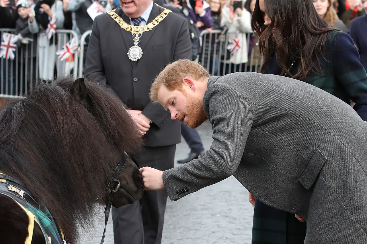 El hijo del príncipe Carlos y la fallecida Lady Di intentó acariciar sin éxito al poni escocés Cruachan IV.