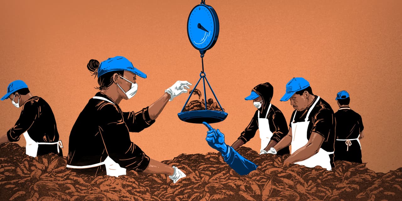 Con el aumento de trabajadores temporales, se teme que haya más víctimas de engaños salariales