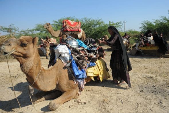 Montando al camello.