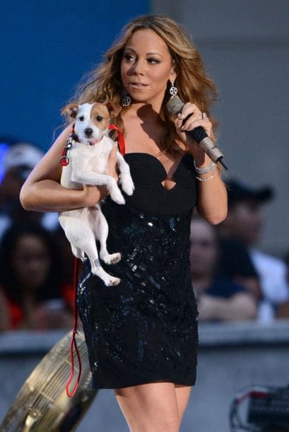 La veterinaria Cindy Bressler exigió ante la corte de Manhattan su pago por 30 mil dólares, equivalente a todas las atenciones que tuvo con las mascotas de la cantante.