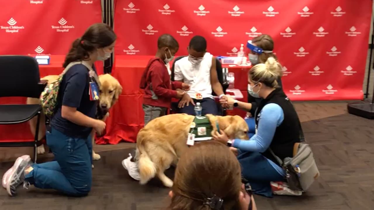 Estuvieron presentes los padres de los menores, personal del hospital, Bailey y Pluto dos perros de servicio que fueron el apoyo de los dos niños.