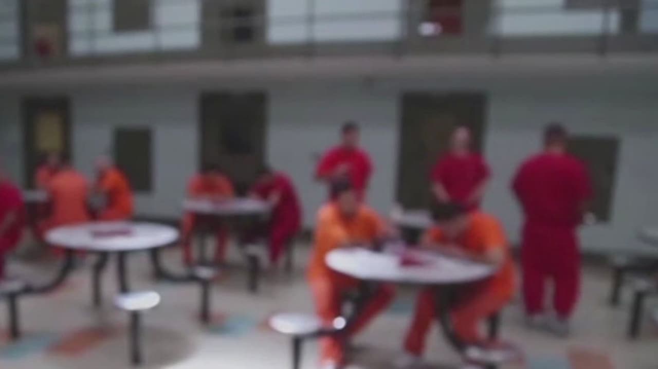 Alertan sobre hallazgos en centros de detención migratoria de ICE en California