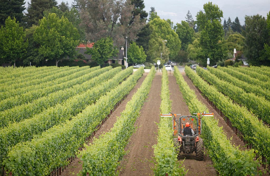 Tres campesinas en California murieron por posible insolación, según sindicato