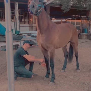 Miguel Ángel Cortes y su caballo.