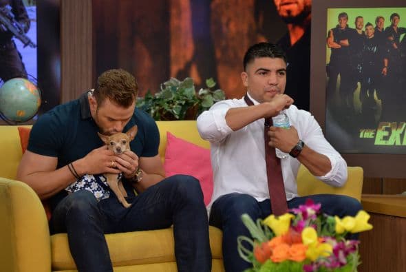 Kellan Lutz en Despierta América