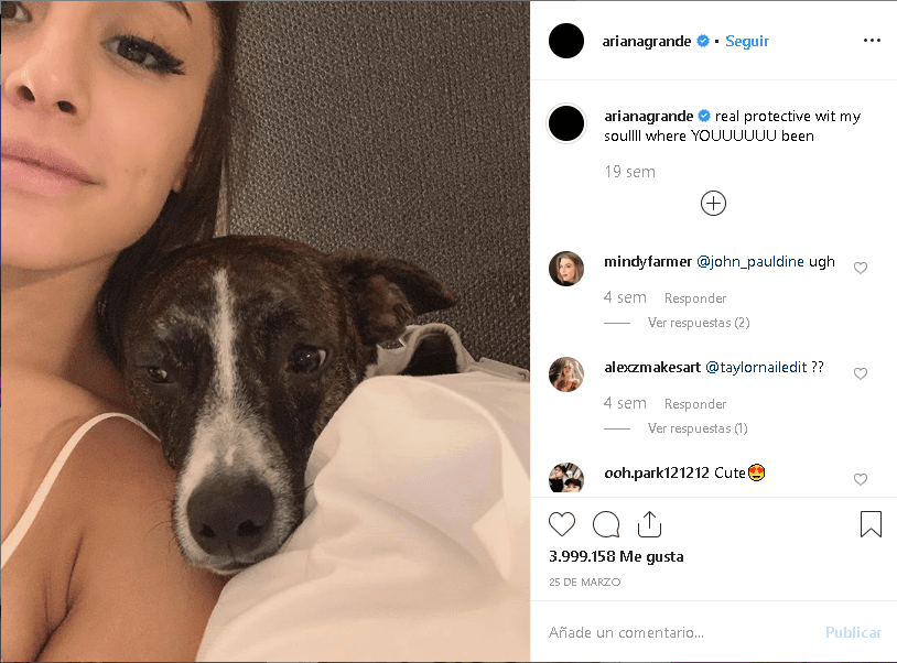 De acuerdo a 
<b><a href="https://www.mirror.co.uk/3am/celebrity-news/ariana-grande-reveals-shes-adopted-18858919" target="_blank">Mirror</a></b>, que cita información de la revista 
<b><a href="https://dogstodaymagazine.co.uk/" target="_blank">Dogs Today</a></b>, la joven artista siente un gran amor por estos animales y prueba de ellos es que tiene más de diez.