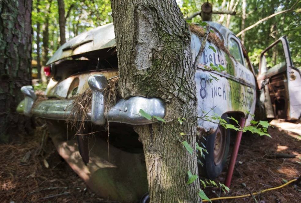 <b>4. Sorpréndete de las cosas extrañas que solo encontrarás en el estado</b>. Georgia es tan grande y diversa que también 
<b><a href="https://www.univision.com/local/atlanta-wuvg/atraccion-tan-extrana-que-solo-la-encontraras-en-georgia-y-la-puedes-visitar-este-2023-fotos">tiene atracciones únicas, las cuales solo encontrarás en el estado</a></b> y que podrían ser una buena opción para explorar durante el fin de semana.