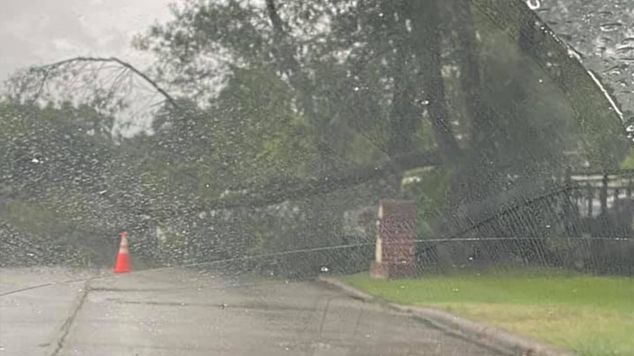 Esta fotografía fue compartida por César López.