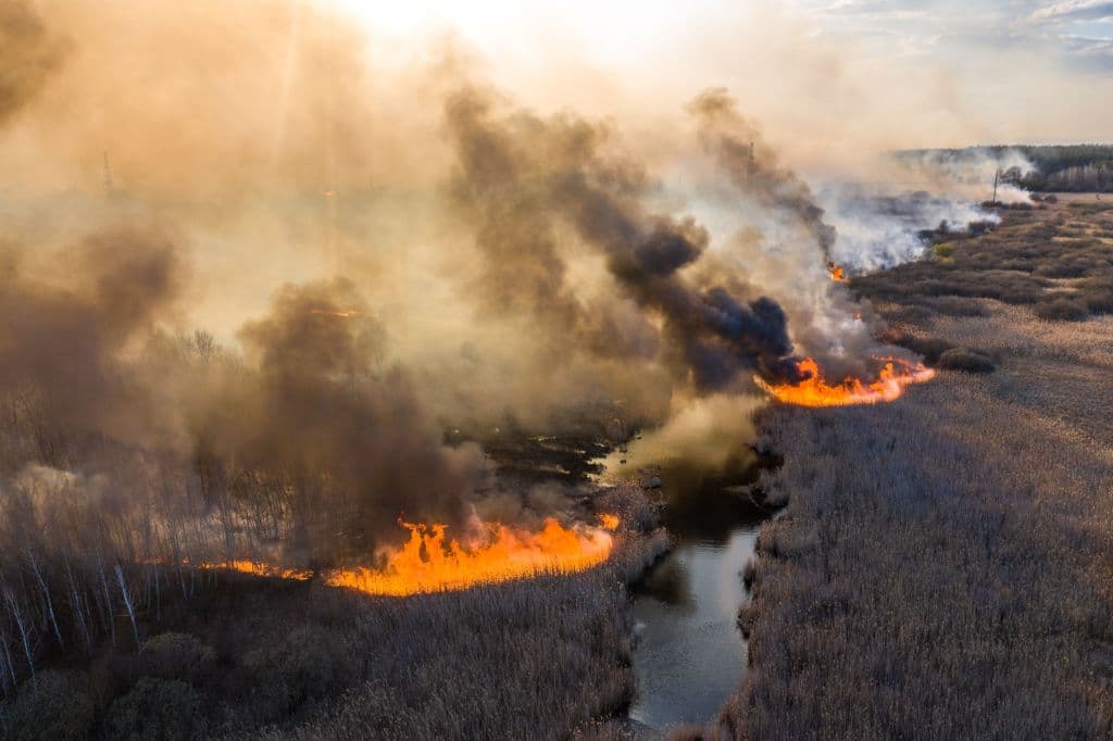 Un incendio forestal avanza en la zona de exclusión de Chernóbil y hay dos versiones sobre lo que está pasando allí