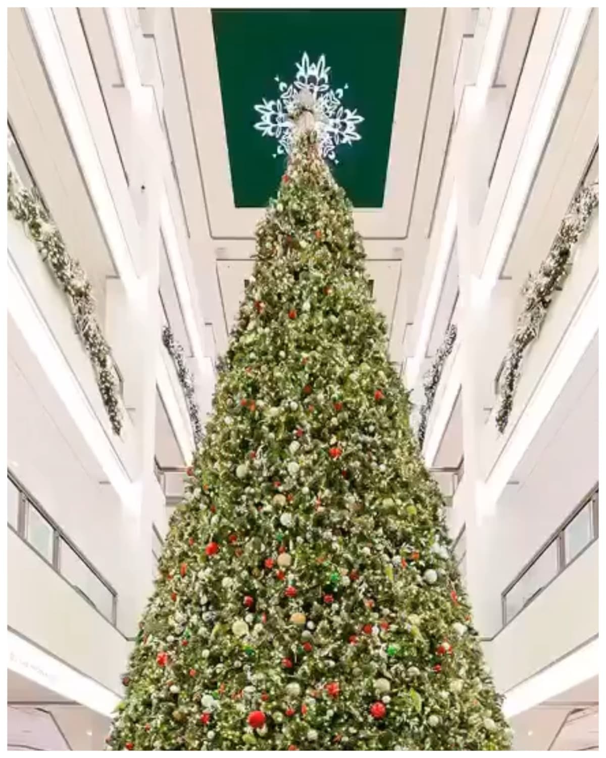 🎄900 North Michigan Shops
<br>📍900 N Michigan Avenue
<br>❄️El mall ha sorprendido a todos sus clientes con presumir uno de los árboles de navidad más altos que se encentran al interior, ya que ocupa los 7 pisos que tiene de alto el lugar. Además, la diferencia que tiene este árbolito con los demás es que la estrella de la punta es una pantalla gigante que todo el tiempo está en movimiento.