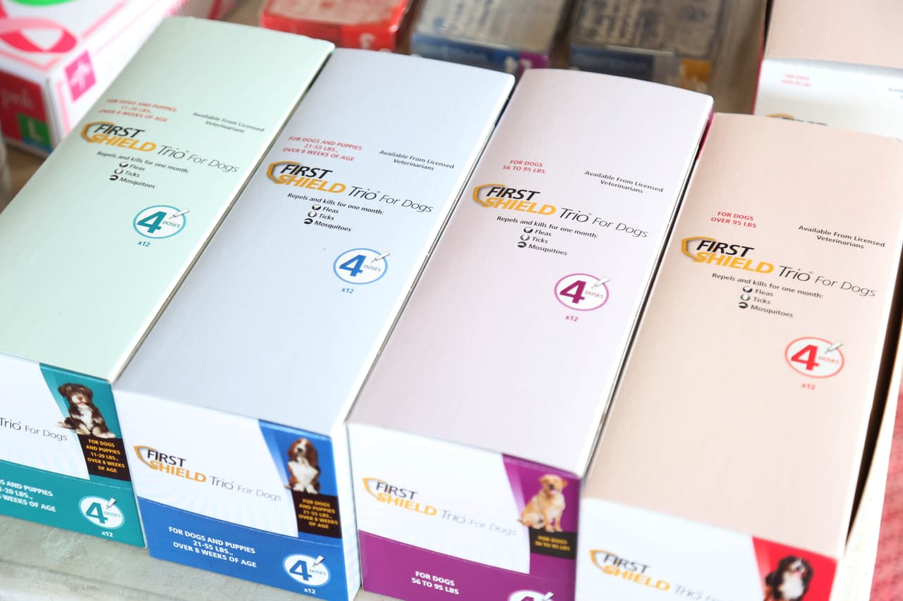 Todos los perros que no hayan sido vacunados previamente deben ser vacunados dos veces con un intervalo de 2-4 semanas.