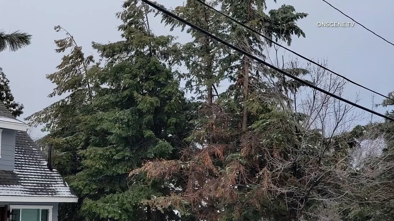 Las temperaturas pueden bajar hasta los 20 grados Fahrenheit.