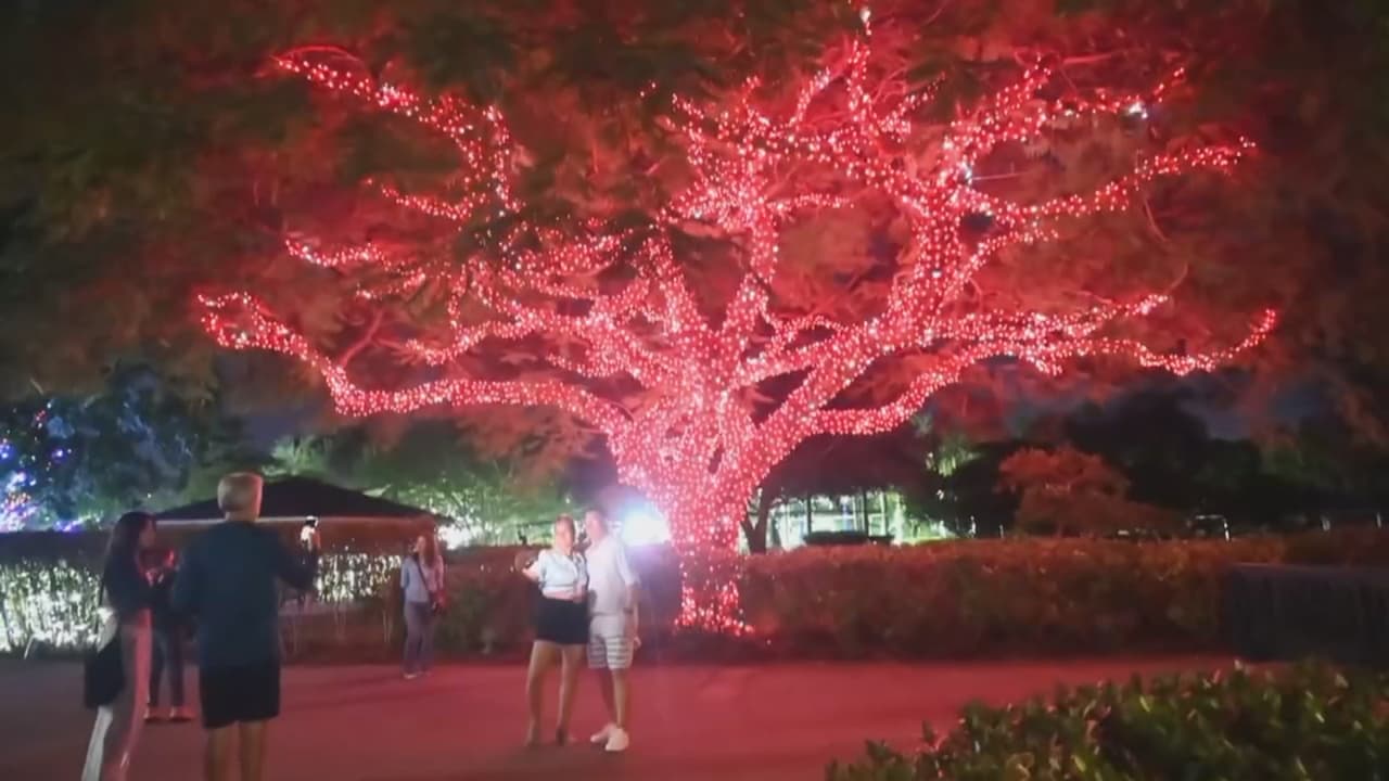 Otros espectáculos deleitarán a los visitantes del Zoo, la diversión está garantizada para chicos y grandes.